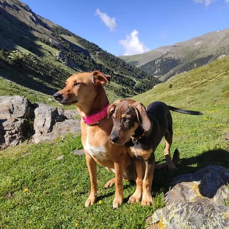 Vall De Núria 3* Queralbs (Caralps)