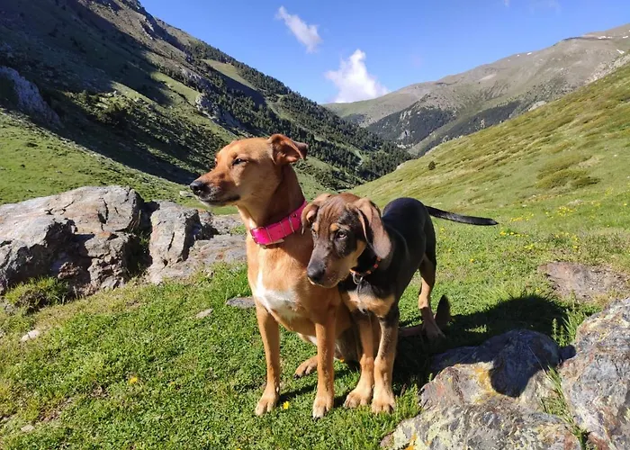 Vall De Nuria 3* 케랄브스